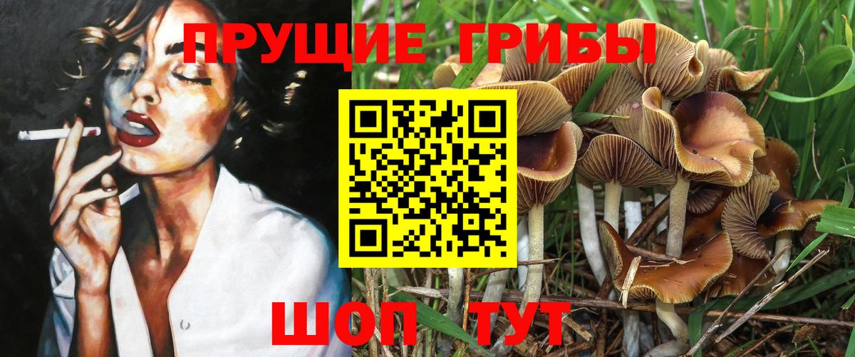 Псилоцибиновые грибы прущие грибы Родники