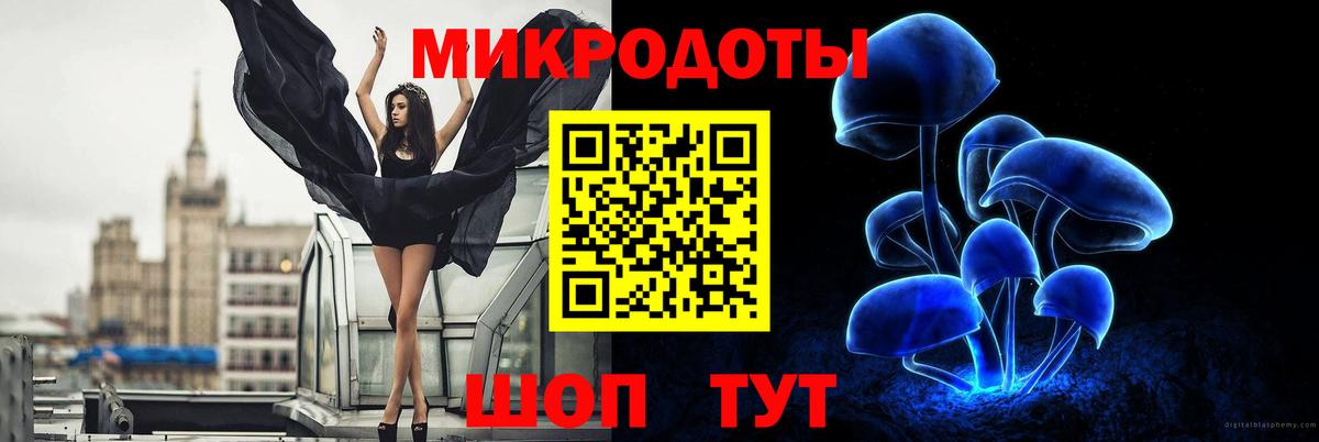 Галлюциногенные грибы Cubensis  Вход с VPN  Псилоцибиновые грибы Cubensis  Родники 